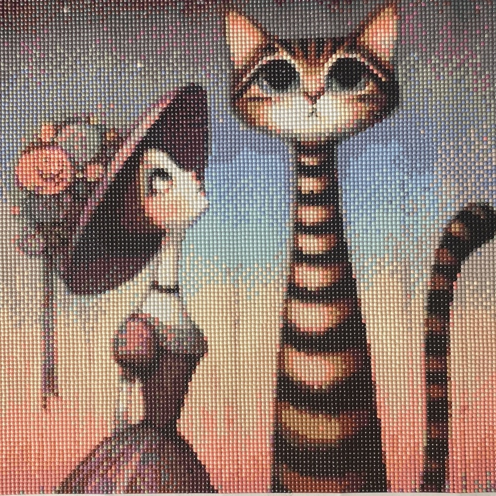 Lady and Cat Diamond Dot Art Picture Painting